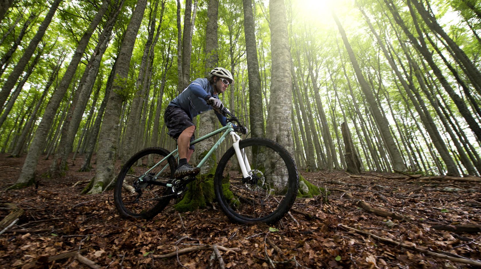 A Man Riding A Bicycle On A Dirt Path In A Wooded Area